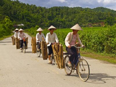biciclette vietnam