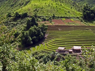 terrazzamenti in vietnam
