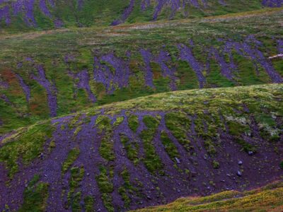 colline in islanda