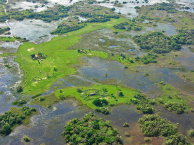 Il pantanal brasiliano