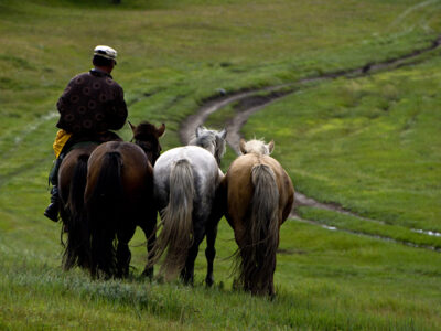 mongolia