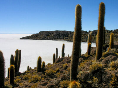 Salar de Uyuni Bolivia