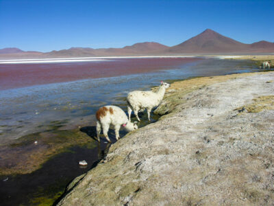 Bolivia