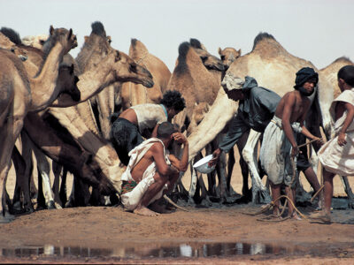 viaggio in Mauritania