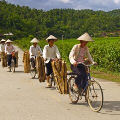 biciclette vietnam