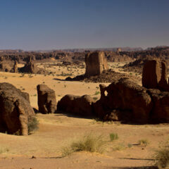 Tchad, Ambechei