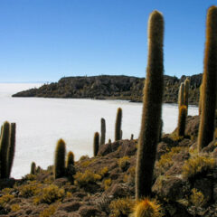 Salar de Uyuni Bolivia